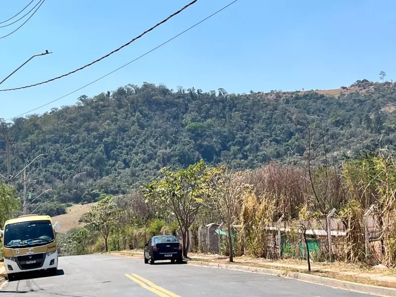 Incêndios em áreas de vegetação são registrados no final de semana